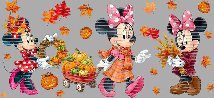 16oz Mickey-N1-1196
